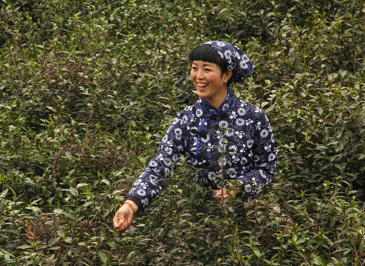 免费在线观看6